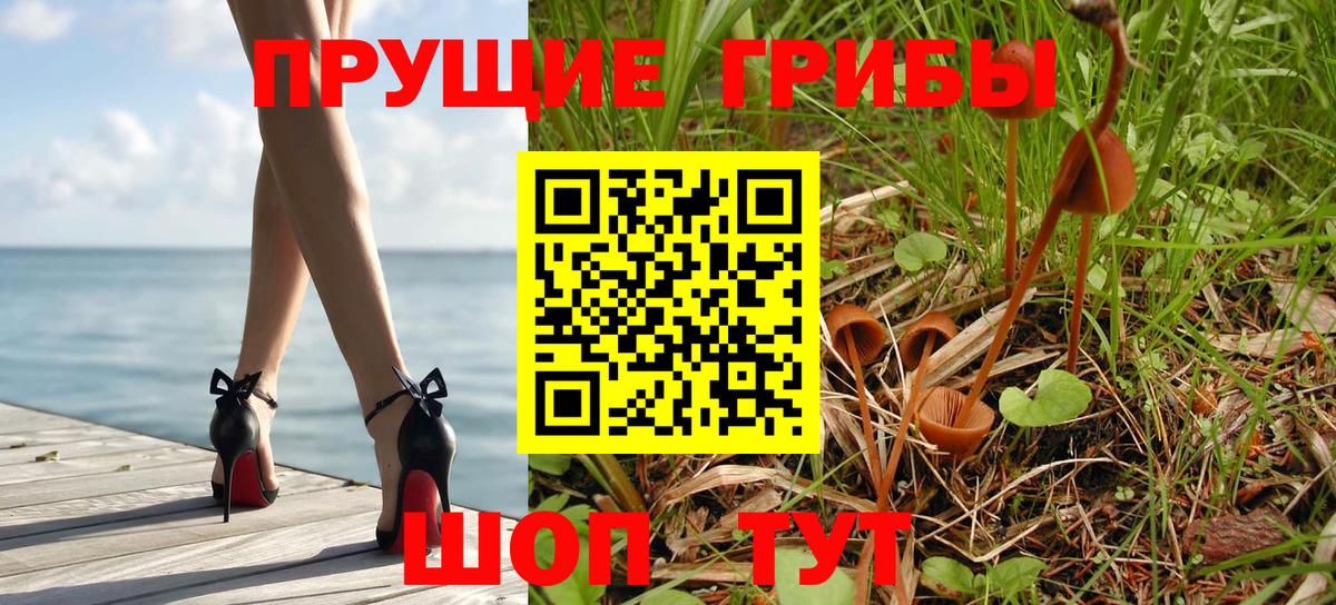 Галлюциногенные грибы GOLDEN TEACHER  Вход с VPN  Киров  Галлюциногенные грибы Psilocybe 
