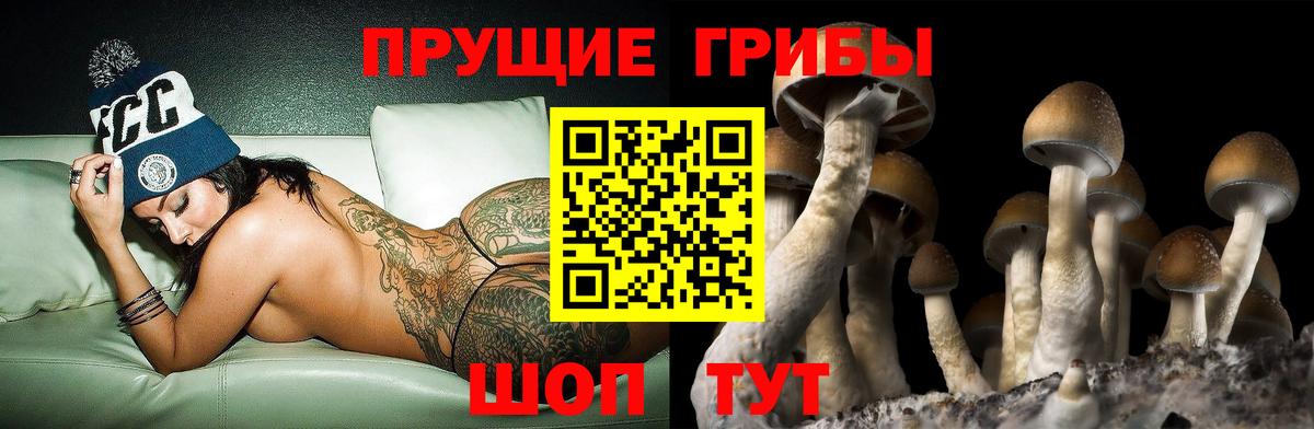 Псилоцибиновые грибы Magic Shrooms Киров